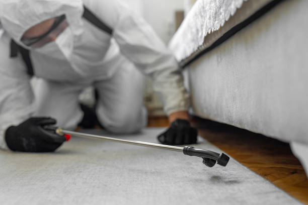Professional Bed Bug Control technician working in Leavenworth, KS