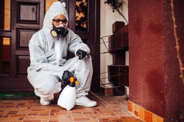 Reliable Bed Bug Control contractor in Leavenworth, KS by Nex Pest Control