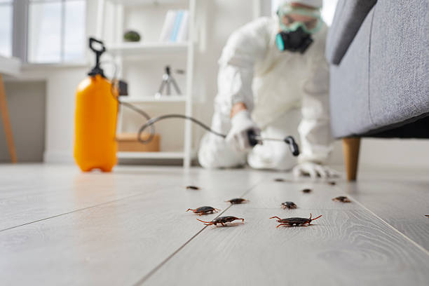 Trusted Mosquito Control service in Leavenworth, KS - Nex Pest Control
